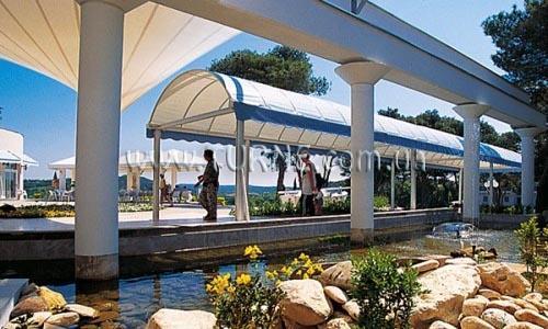 Фотографія Pineta Hotel 3*