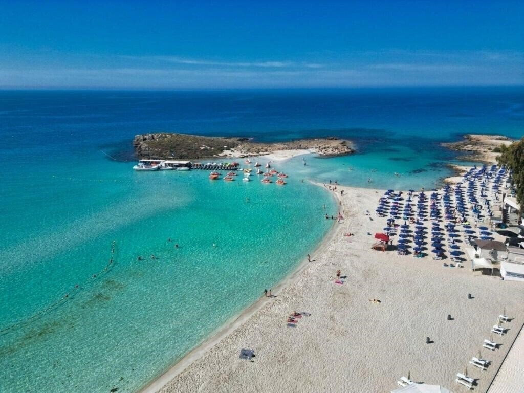 Отель Vassos Nissi Plage 4*