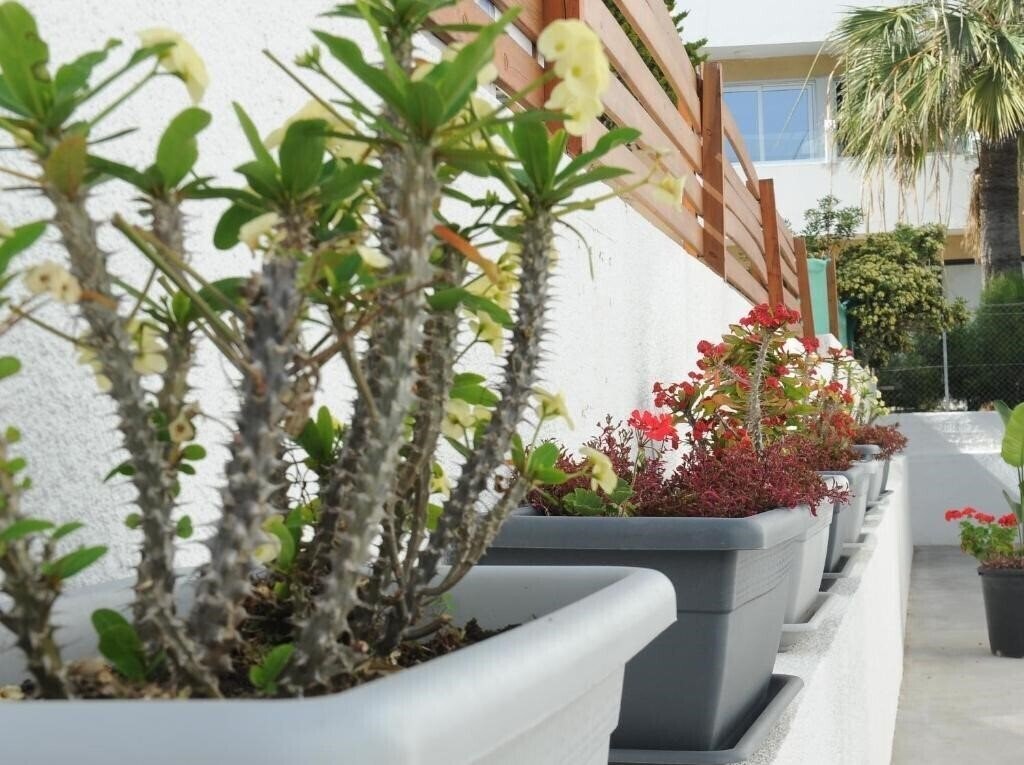 Фотография Napa City Apartments 3*