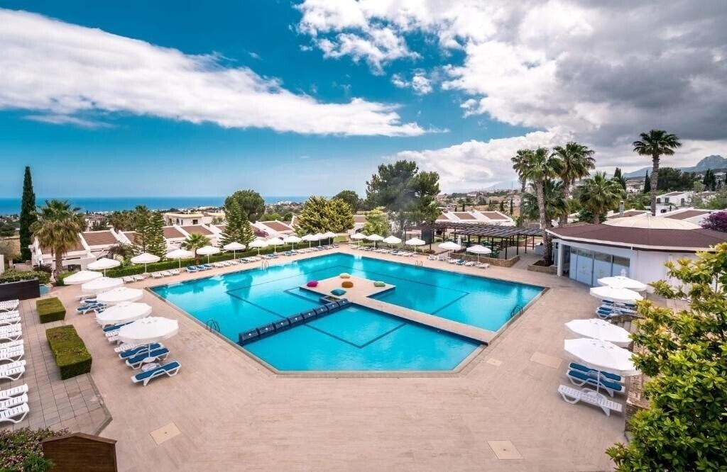 Фотографія Olive Tree Hotel 3*