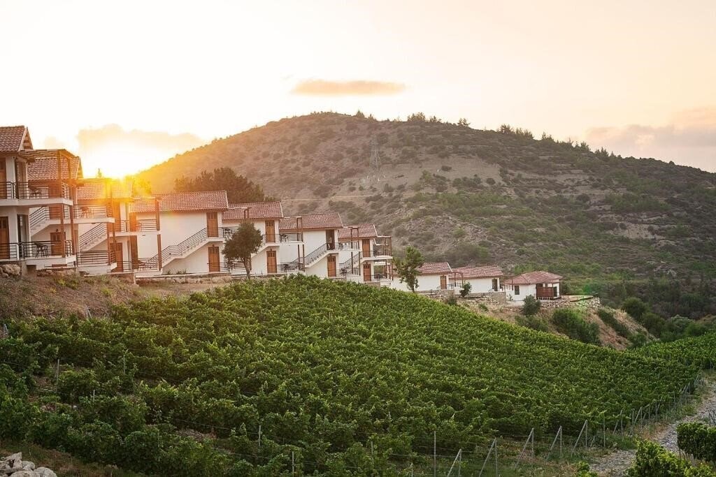 Отель Gillham Vineyard отель без категории
