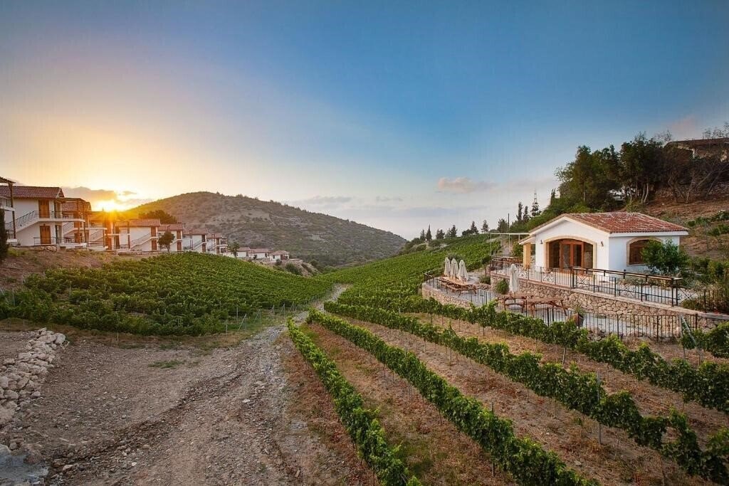 Изображение Gillham Vineyard отель без категории