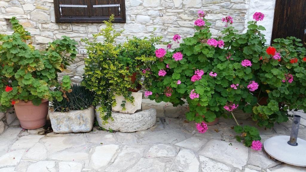 Фото Traditional Village Houses Skarinou 3*