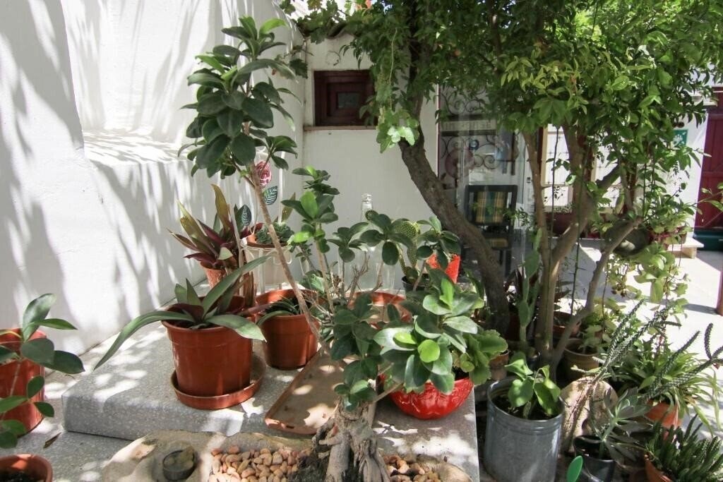Изображение Gul Hanim House 1*