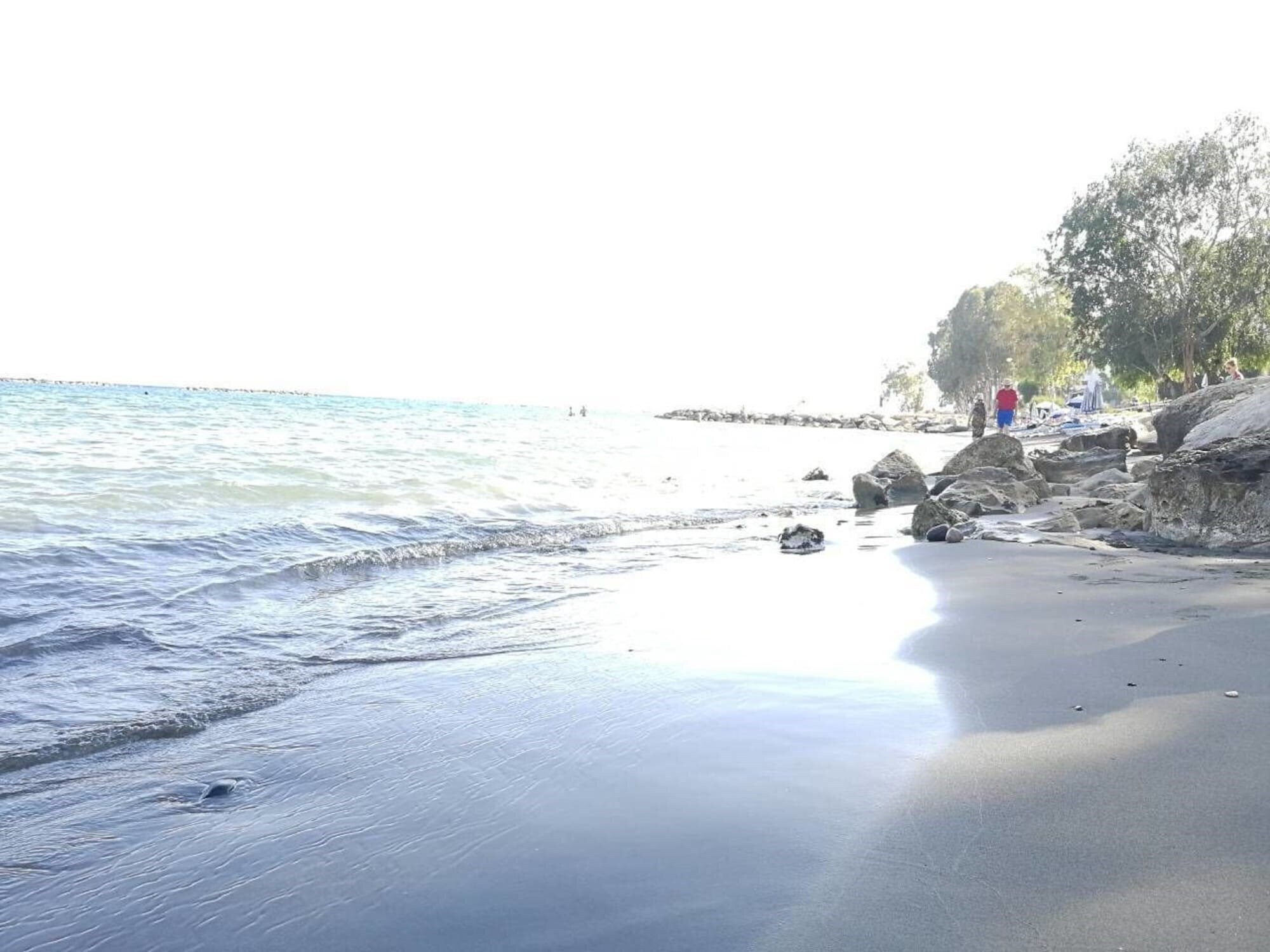 Картинка V.I.P. Galatex 3*