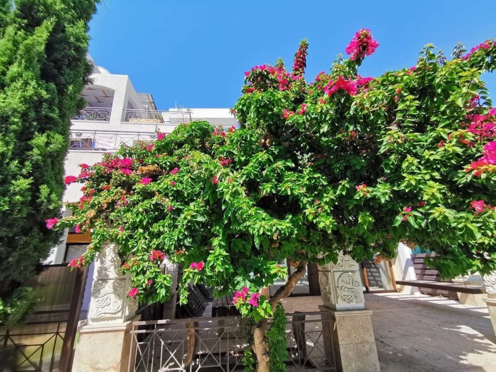 Изображение V.I.P. Galatex 3*