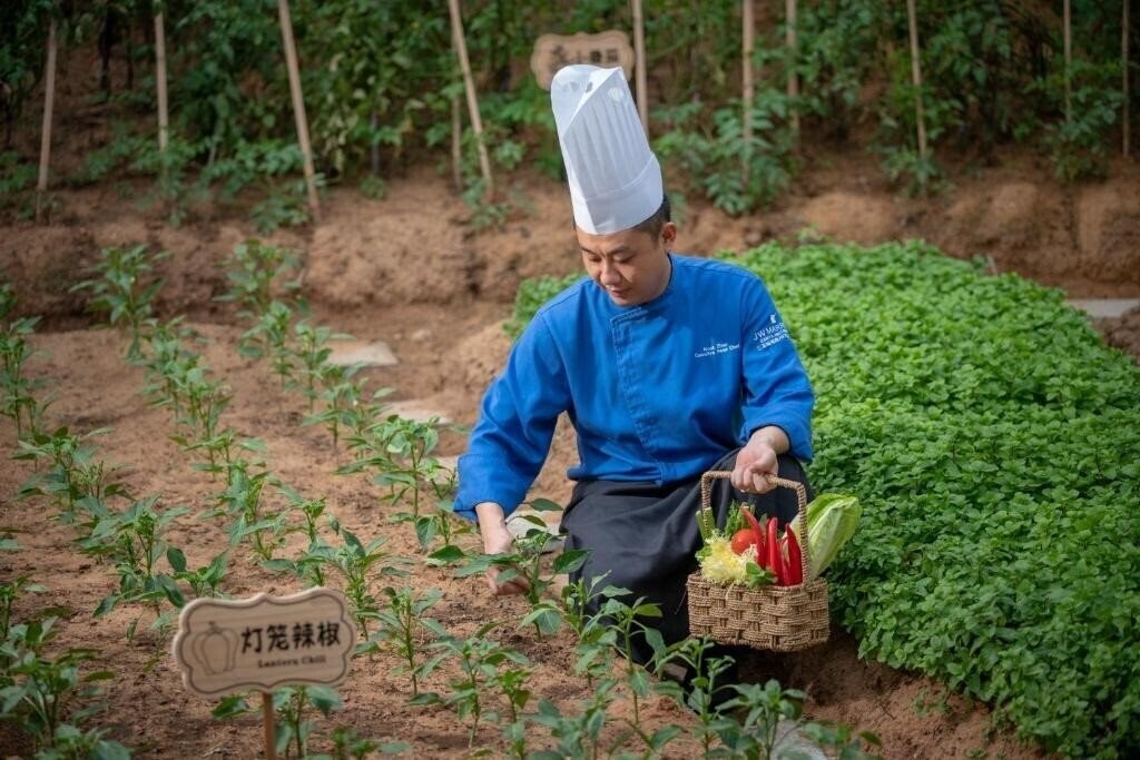 Зображення Jw Marriott Sanya Haitang Bay 5*
