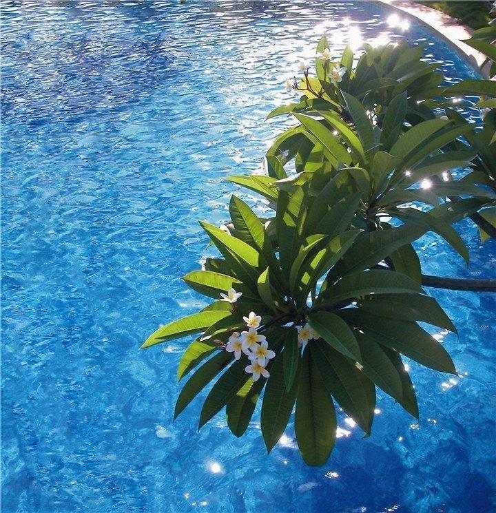 Картинка Guest House International Hotel 4*