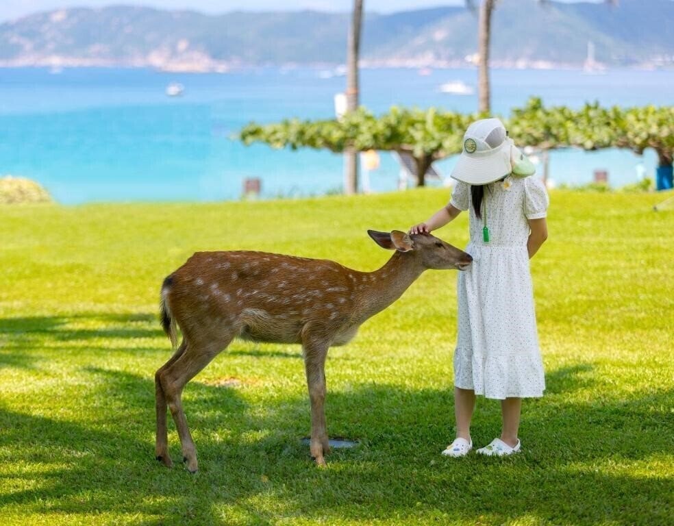 Зображення Horizon Resort & SPA 5*
