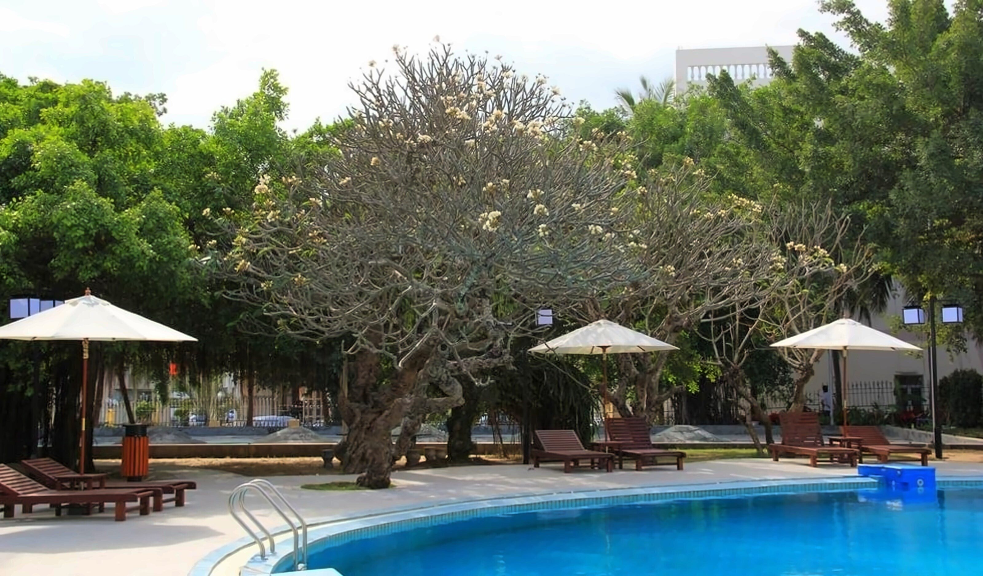 Картинка Sanya Jingli Lai Resort 4*