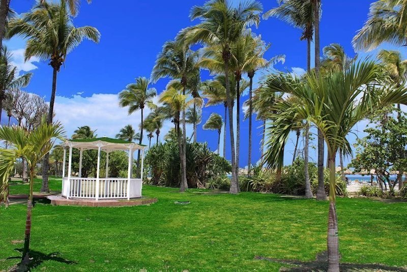 Фотографія Complejo Puntarena Playa Caleta 4*