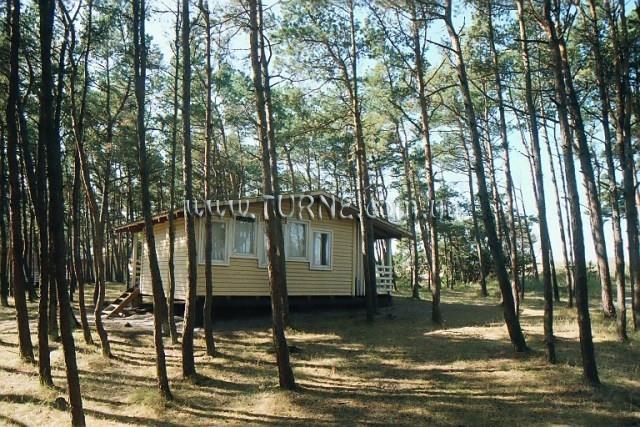 Фотографія Energetikas 4*