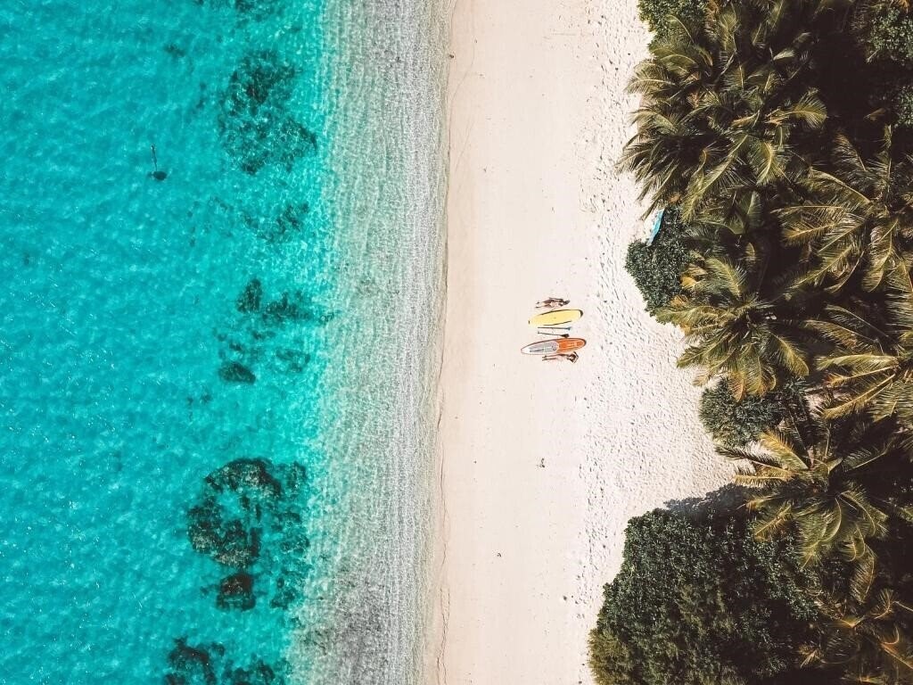 Фотографія Bliss Dhigurah Guest House 3*
