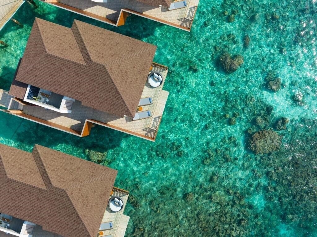 Зображення Avani Fares Maldives Resort 5*