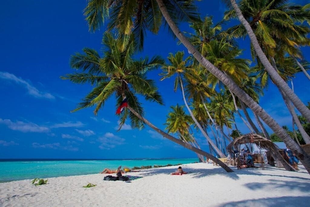 Зображення Kaani Palm Beach Guest House 1*