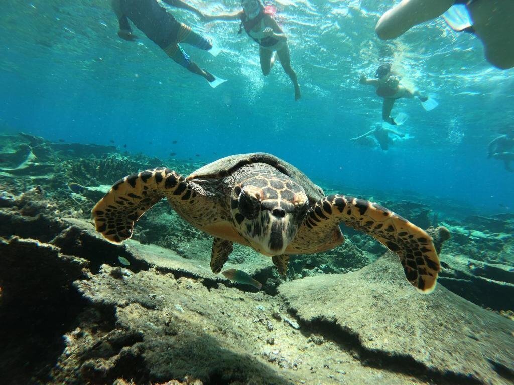 Картинка White Sand Lodge Guest House 1*