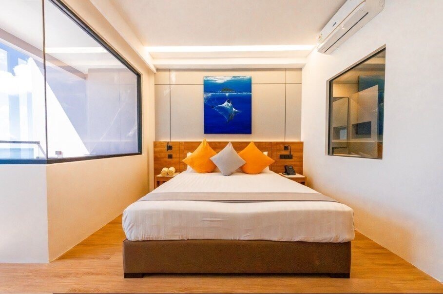 Картинка Triton Exotica 3*