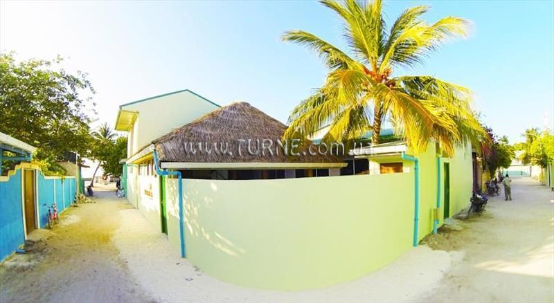 Картинка Narnia 3*