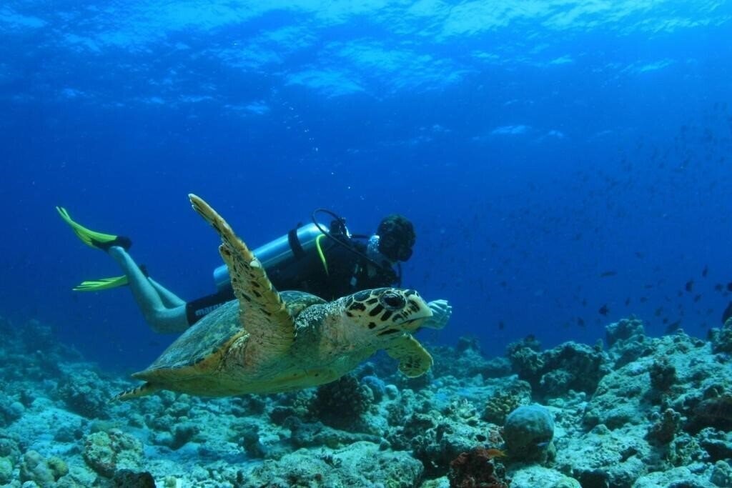 Зображення Amilla Fushi Deluxe 5*
