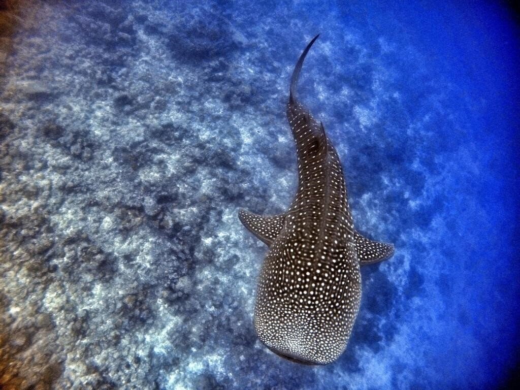 Картинка Athiri Beach 3*