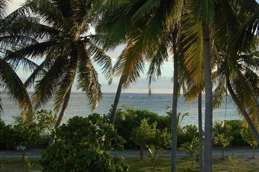 Фотографія Vaali Beach Lodge 3*