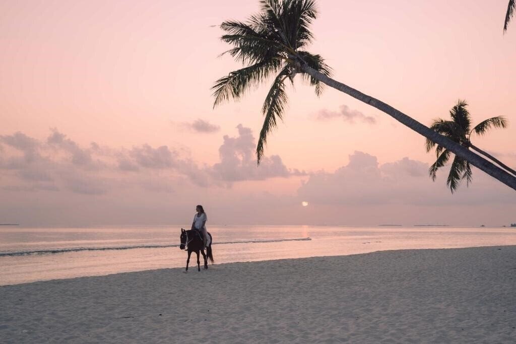 Картинка Siyam World 5*