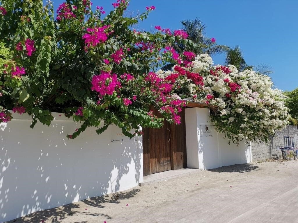 Отель Holiday Cottage Guest House 3*