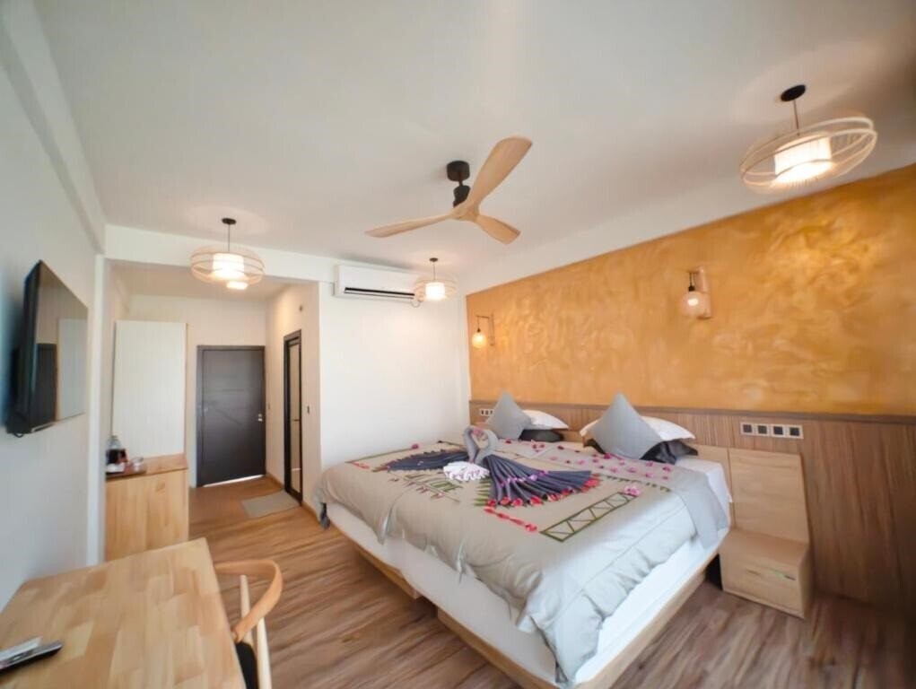 Картинка Ahola Thoddoo 3*