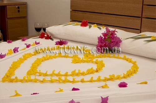 Готель Palm View 3*