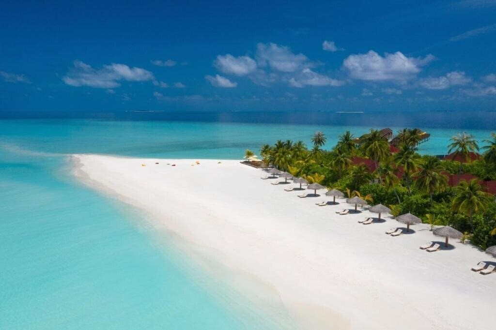 Фото Dhigufaru Island Resort 5*