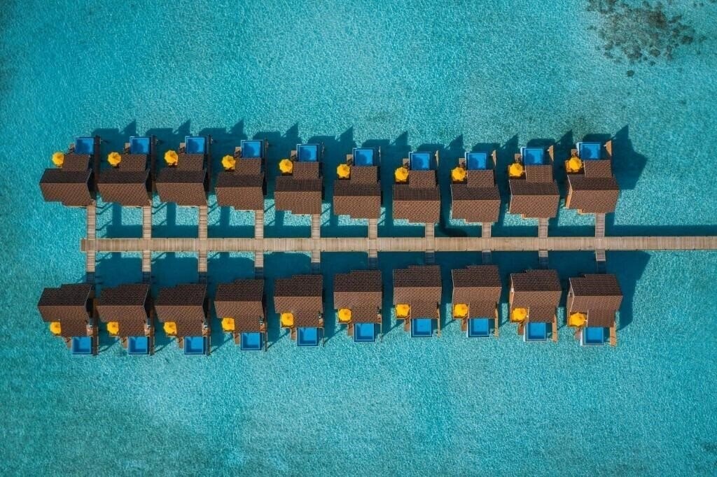 Фотографія Dhigufaru Island Resort 5*