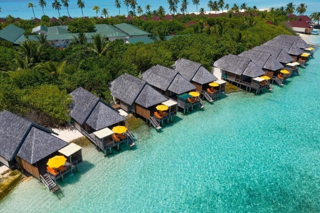 Зображення Dhigufaru Island Resort 5*