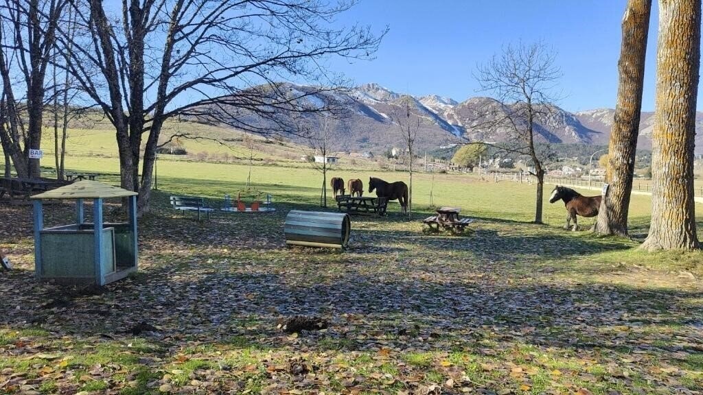 Изображение Seasalter Maldives 3*