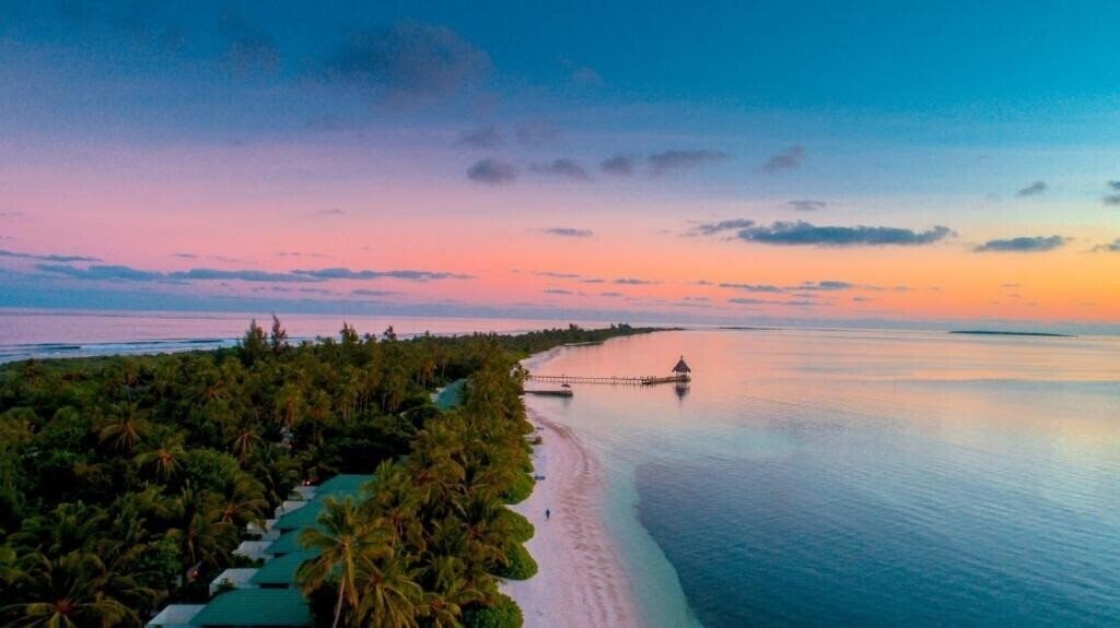 Готель Canareef Resort Maldives 4*