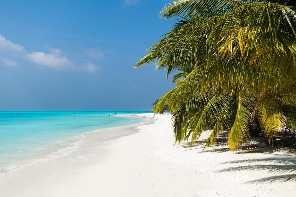 Картинка Meeru Island Resort 4*