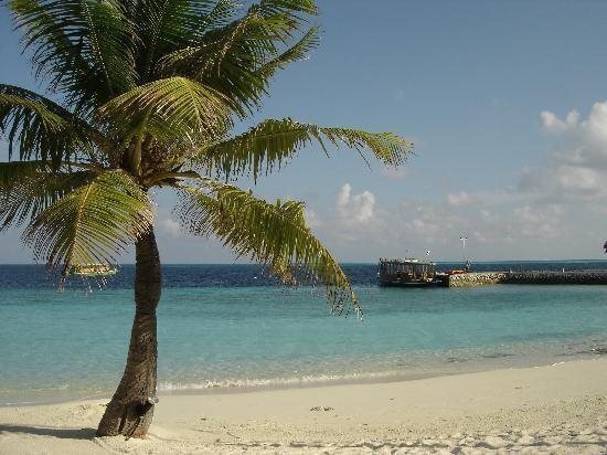 Картинка Nakai Dhiggiri Resort 4*