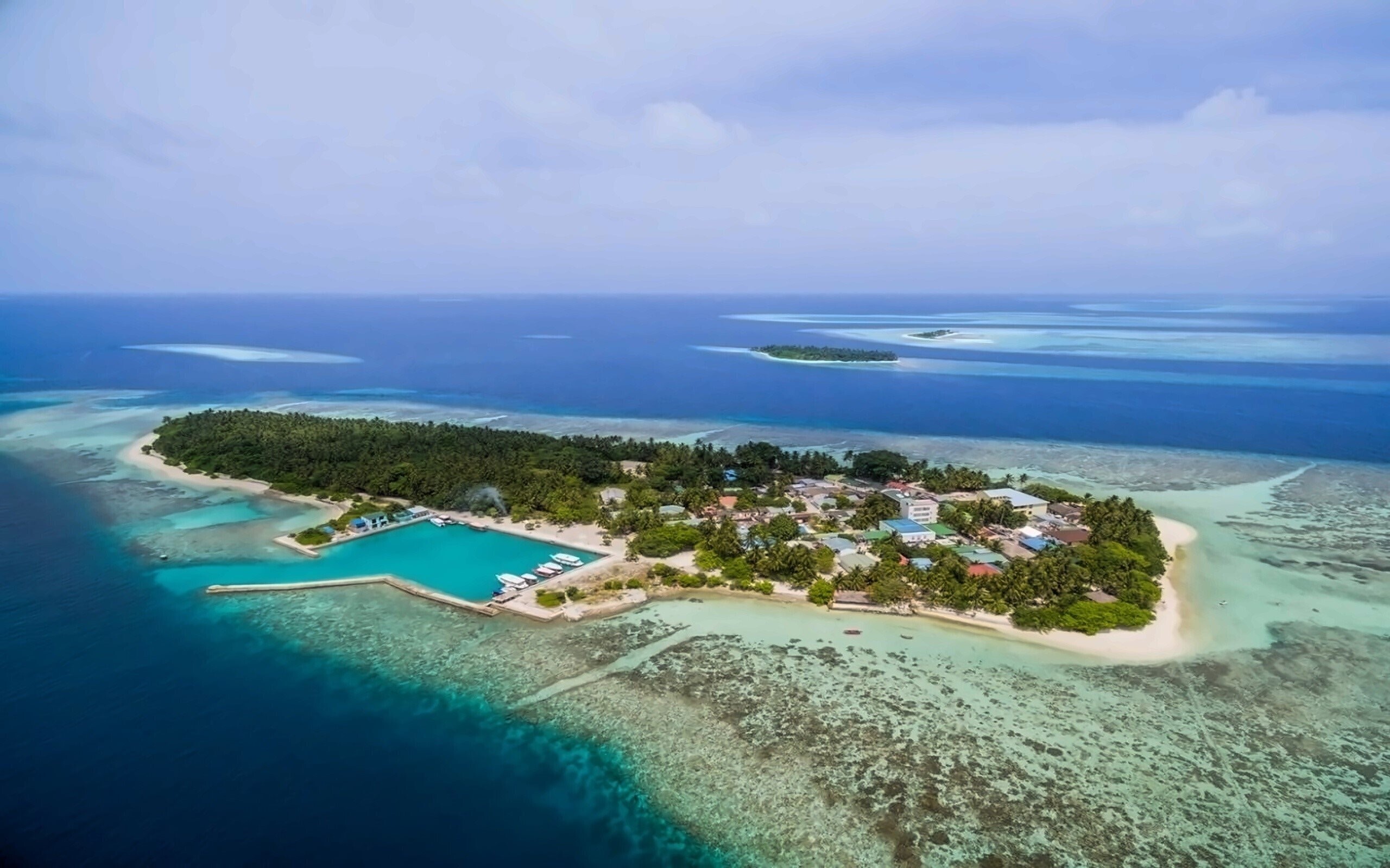 Отель Plumeria Maldives Guest House 1*