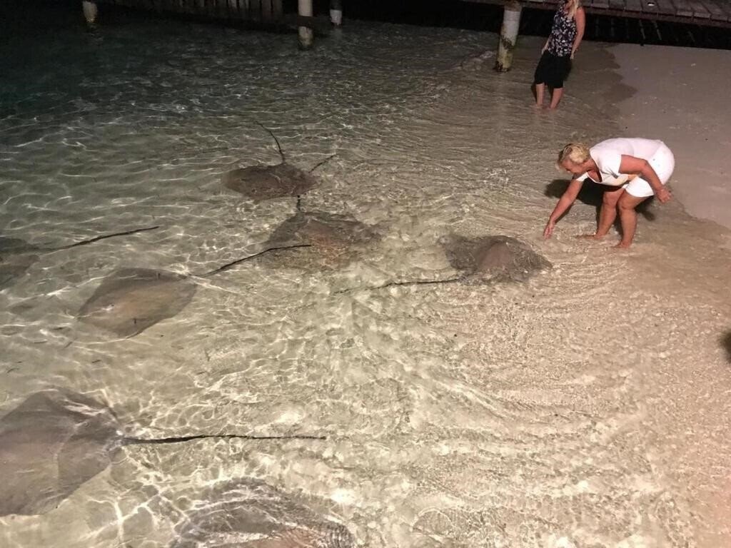 Картинка Thundi Sea View 3*