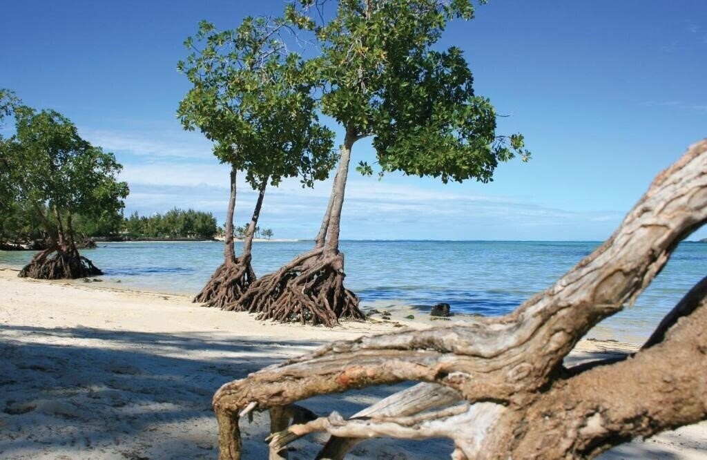 Картинка Jalsa Beach Hotel & Spa Mauritus 4*