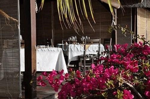 Фотографія The Bay 3*