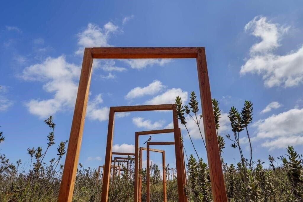 Изображение Banyan Tree Veya Valle De Guadalupe 5*