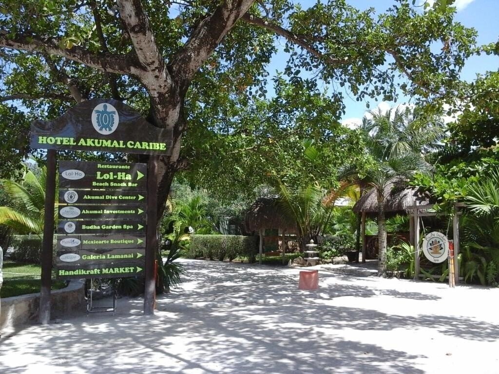 Изображение Akumal Caribe 3*