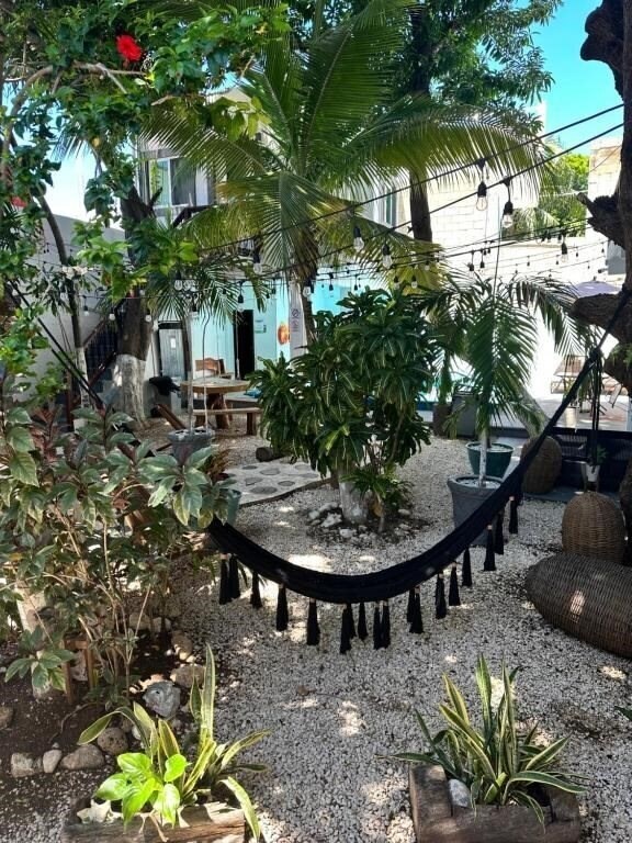 Изображение Isla Caracol 3*