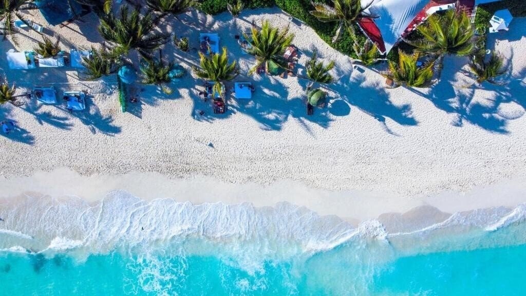 Картинка Oasis Cancun Lite 5*