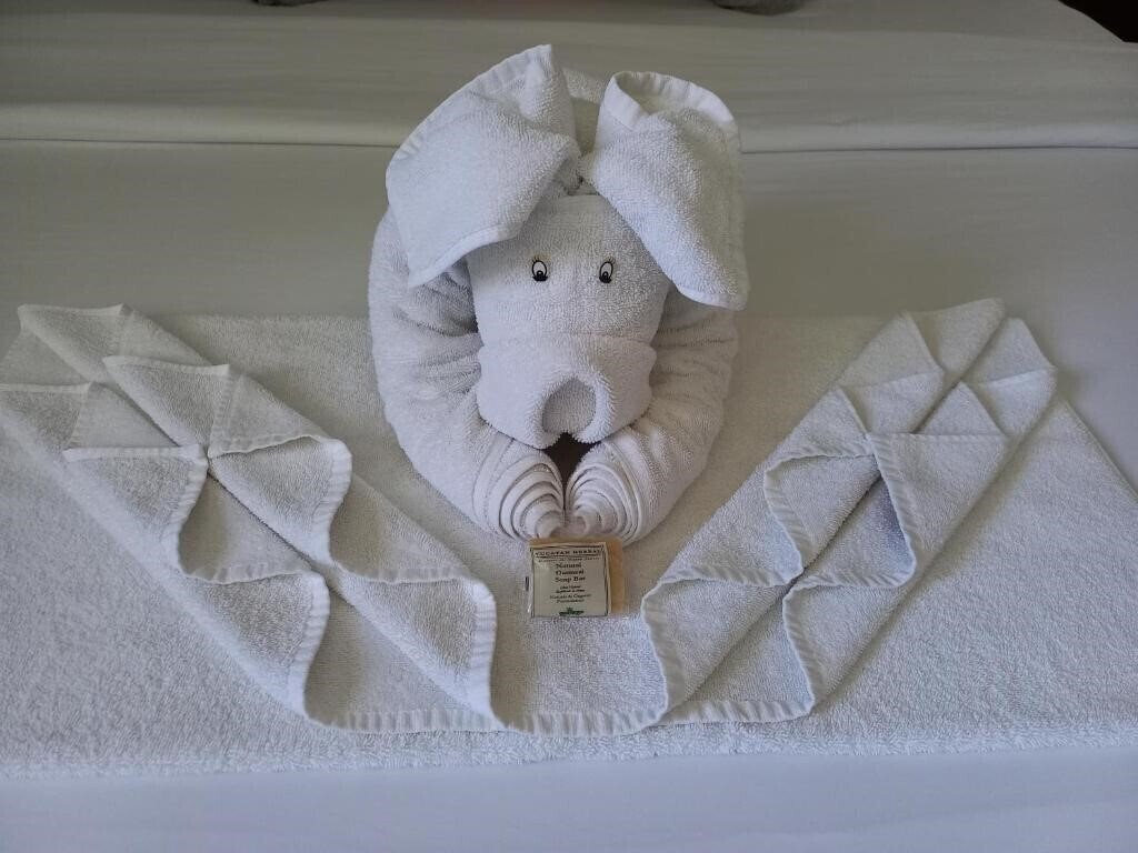 Фотография Mura Hotel Boutique 4*