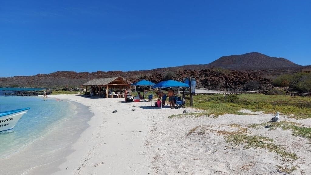 Картинка Hotel Loreto Palmar 4*
