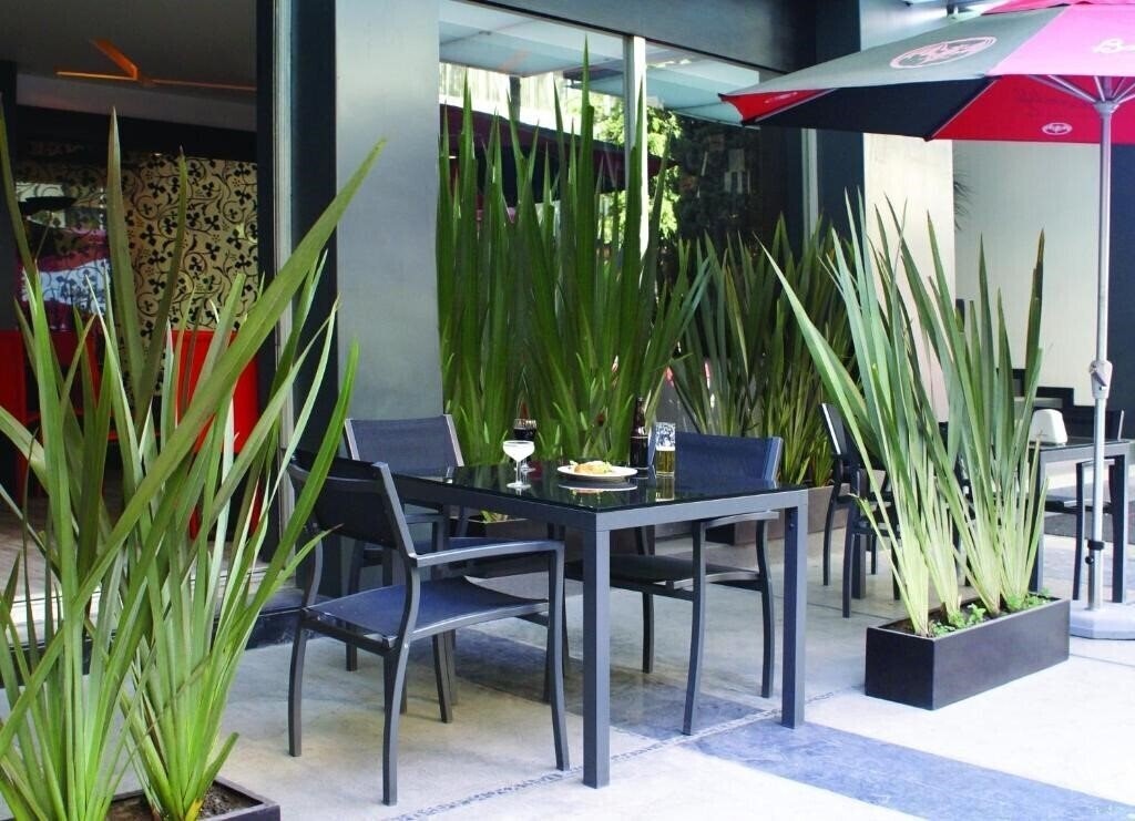 Фотографія Regente 4*