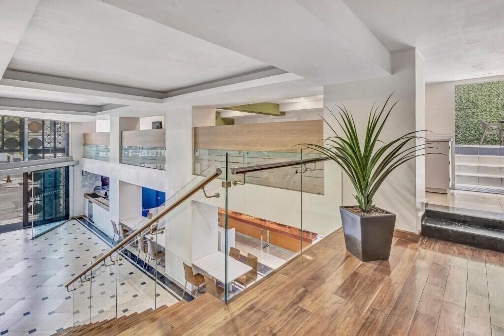 Изображение One Ciudad De Mexico Alameda 3*