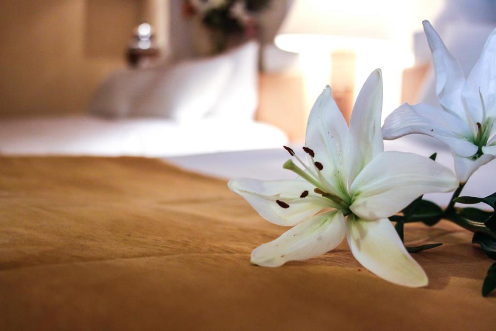 Фото Eurostars Hacienda Vista Real 5*