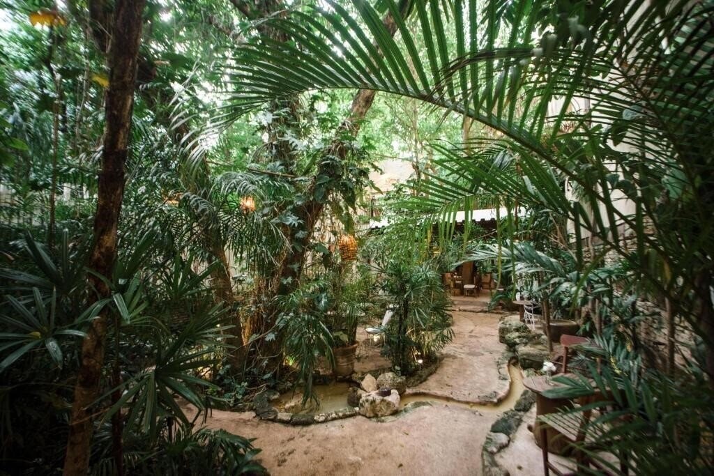 Готель Hotel La Semilla 3*
